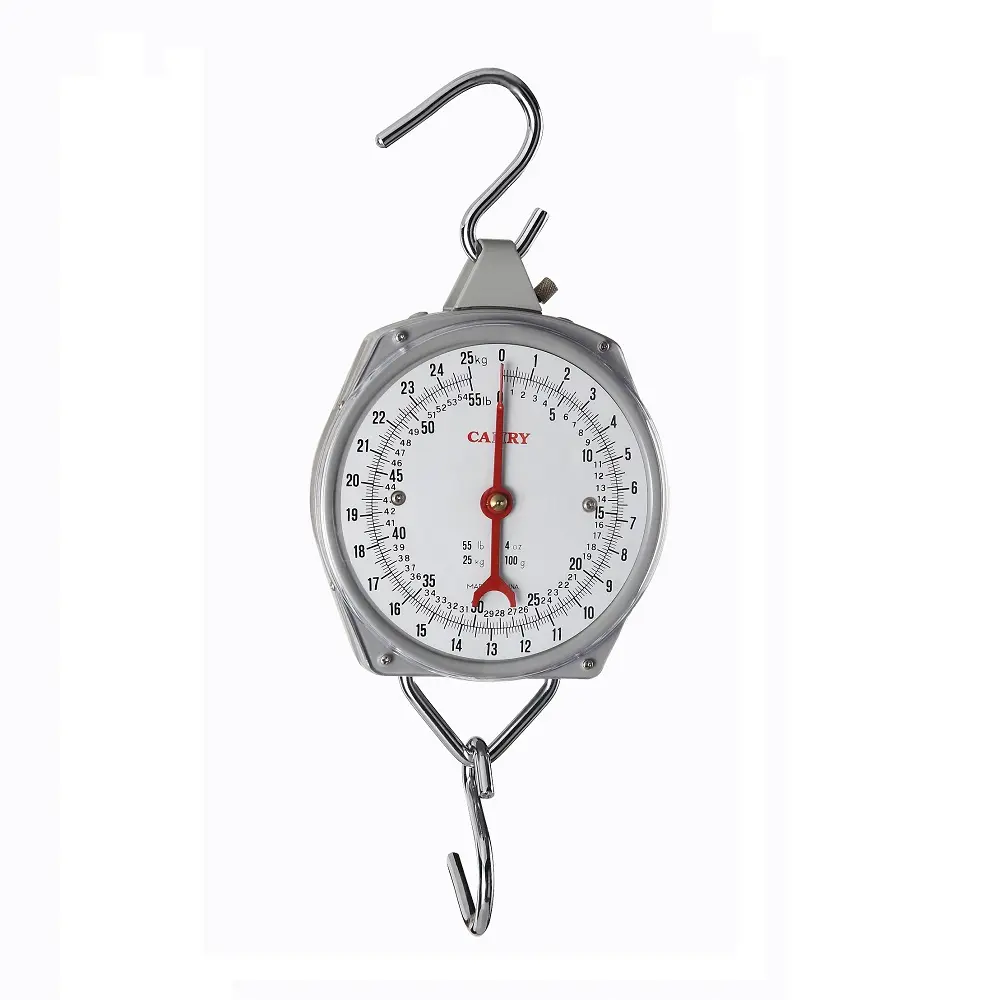 Scale Hanging NTA 100kg